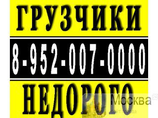   ,  , ,. www.gruzok22.ru , :8-952-007-0000 ,  