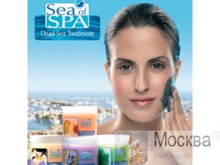    - SEO of SPA!  ( )
