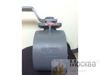     VALFTEK   100  
