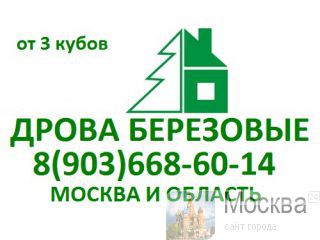  ( ,   ) 8 (903) 668-60-14(   ) 