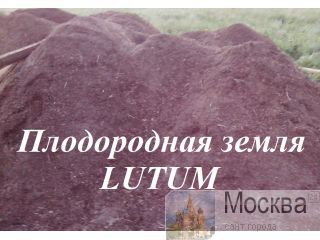   LUTUM,    ! -