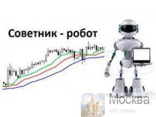     MQL,      ,       . 