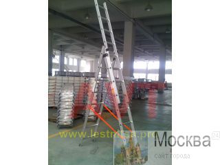      AVT 