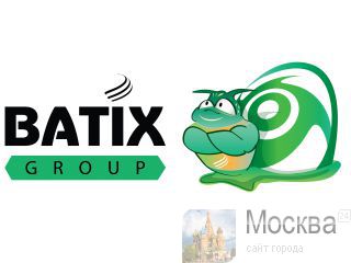     Batix 