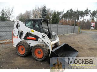   bobcat S175 