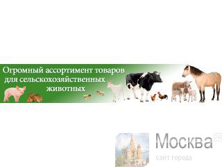-  Pettown( ) 