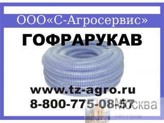  100 