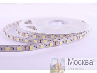 R0060AA-CW -  , 60 SMD 5050,   9000 
