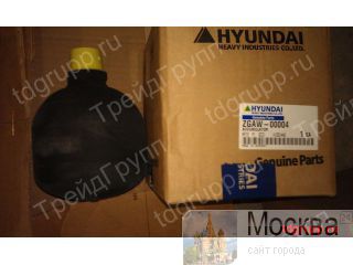 ZGAW-00004  Hyundai 