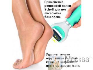    Scholl ,  