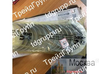 3945917   Cummins QSL 