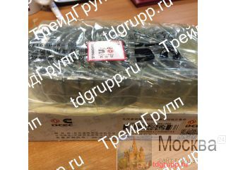 3950661/3966244 /  Cummins QSL 