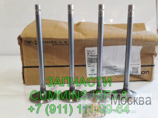     Cummins ISF2.8 5264231  -