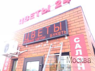 LED   