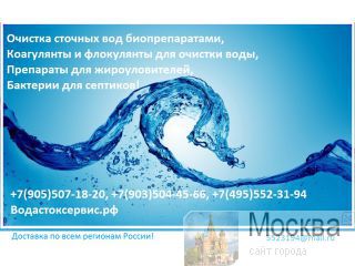 Bichem DC 1008 -          