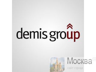 Demis Group   SEO 