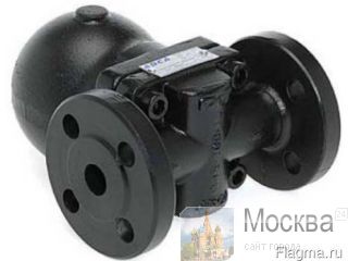   FLT17   - -