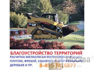      84957416877   