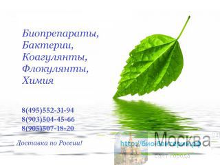 Bacti-Bio 1070 G      ,     ,     