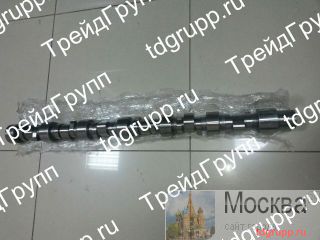 344-9038  CAT 
