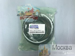  /  31Y1-18250  R250LC-7 