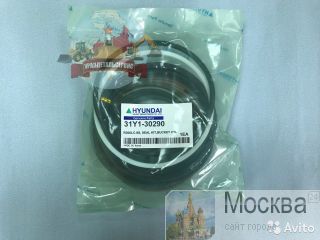  /  31Y1-30290  R300LC-9S 