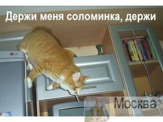 - (, ,  ) 