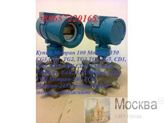      CD CG TG 