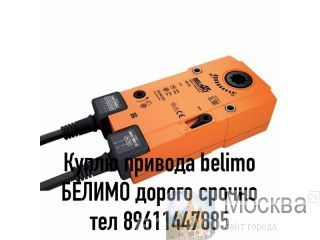   belimo   