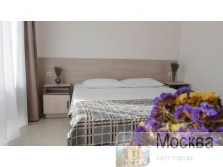       - Spitaki 