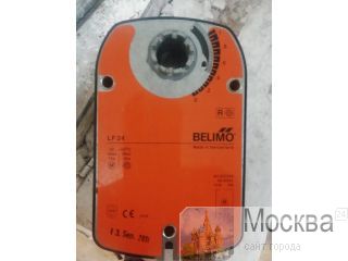    belimo      89106495136  