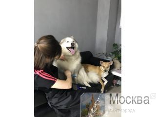     + 