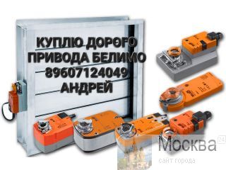 89607124049      BELIMO     BLF BF BFL BFN BEE BLE BE M LM NM SM GM TF LF     BELIMO  