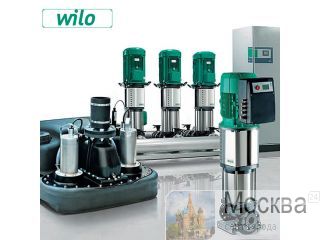   Wilo  Grumpus     ? Wilo     
