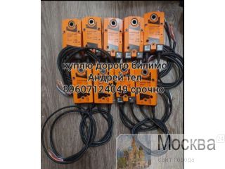   BELIMO    /              89611414894   