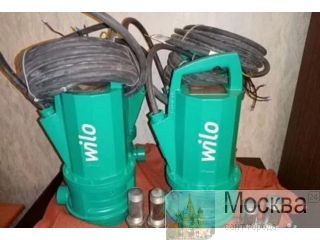   Wilo ,   8910 649 51 36     Wilo          Wilo   ,  -