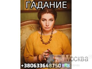     +380633648750 