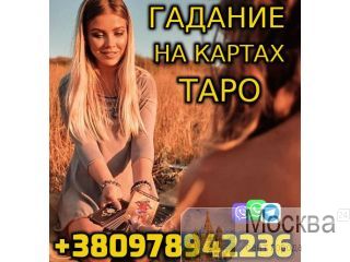   +380978942236 