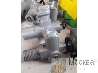      AUMA SA SAR SAEX SG SAREX SQ 