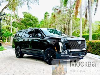 Space AAM LLC transportation services provides professional transportation services for both leisure and business transportation in the Miami area ���, ������