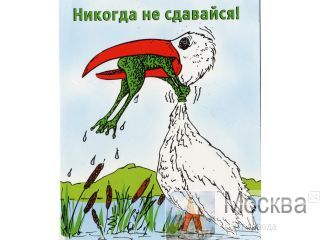 ������� � ������������ �������� � ������� �������������� ������