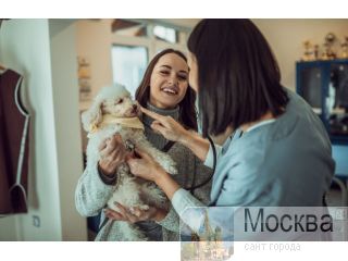 ������ - ��� ������� ���������� ����������, ��. ��������, �. 37