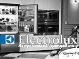  Electrolux 