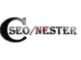  WEB  SEONESTER