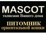     MASCOT
