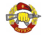 Логотип ООО ЧОО «Витязь. РФ»