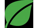    ʻ