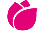    ӻ