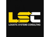  LS Consulting