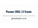 Логотип DSG-MSK